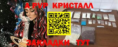 шишки Изобильный