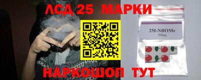 шишки Изобильный