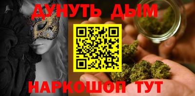 шишки Изобильный