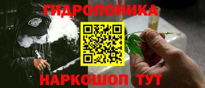 шишки Изобильный