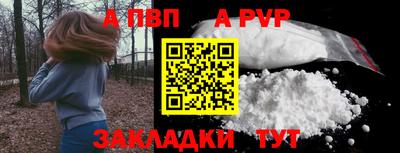 шишки Изобильный