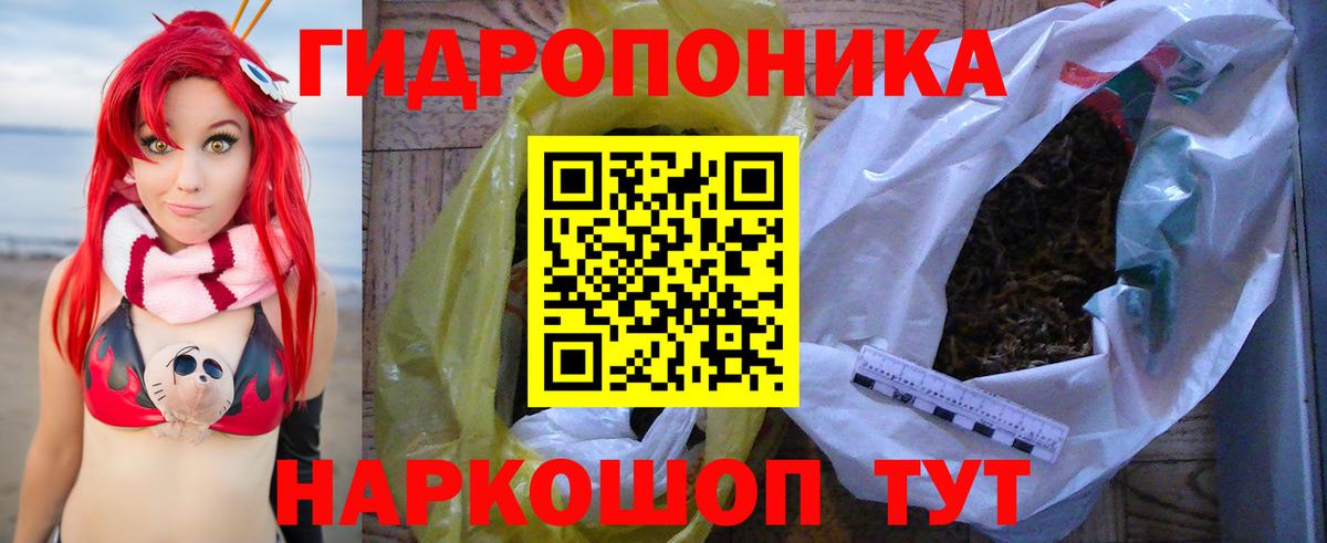 МАРИХУАНА план Кунгур